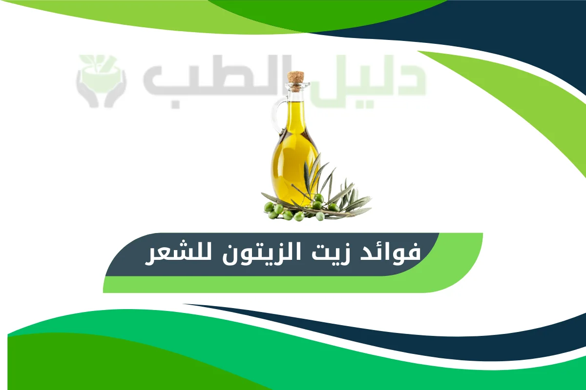 فوائد زيت الزيتون للشعر
